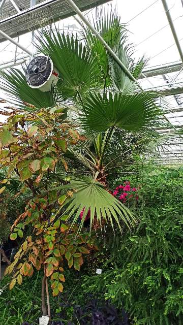 fb img 1727641902299