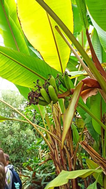 fb img 1727641929546