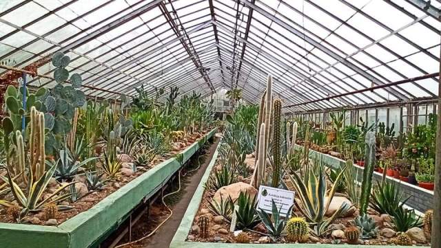 fb img 1727641944700