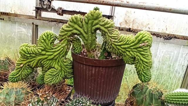 fb img 1727641950598