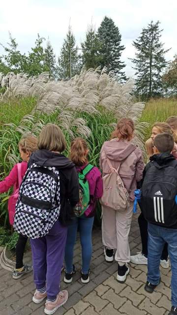 fb img 1727641989013